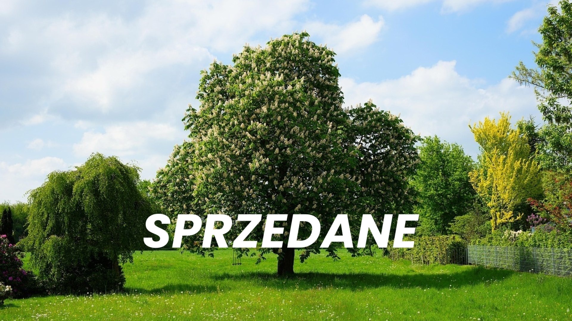 Działka na sprzedaż